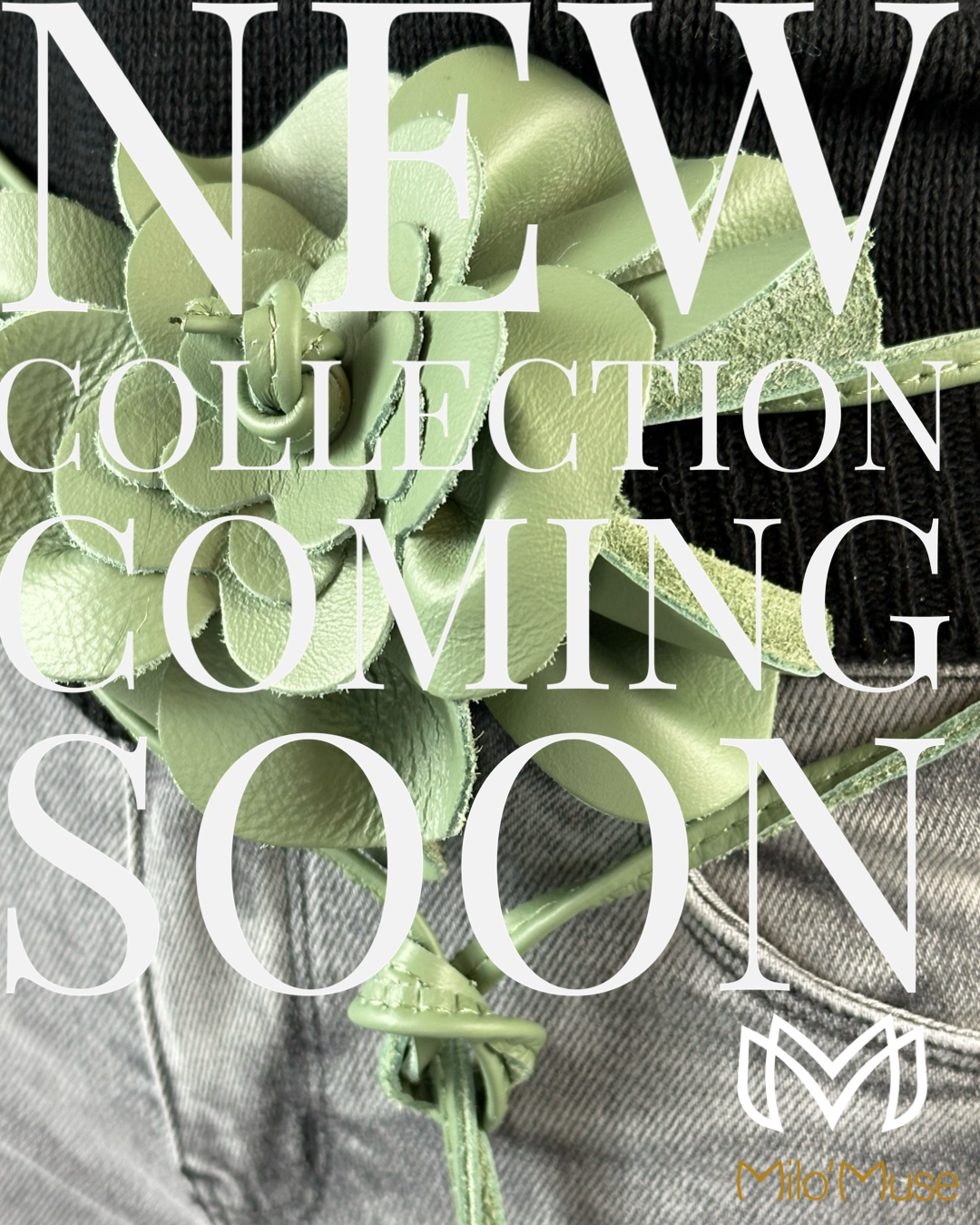 NEW COLLECTION COMING SOON